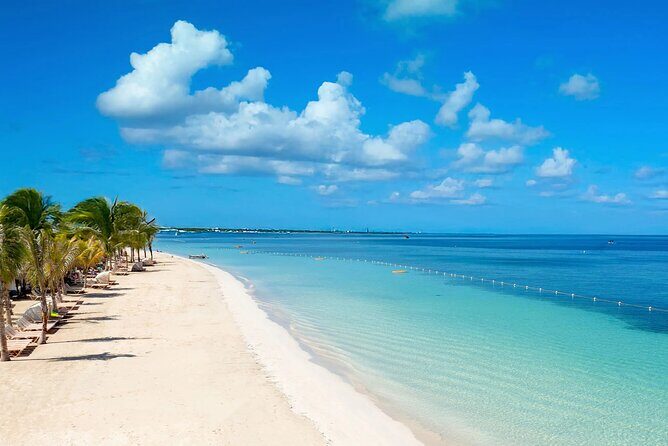 Rick s Café and Seven Mile Beach Private Tour Negril Jamaica - The Transport and Experience Quality