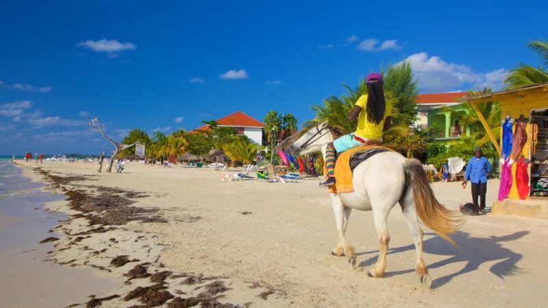 Ricks cafe & 7mile Beach Private Tour from Montego Bay. - What to Expect from This Tour