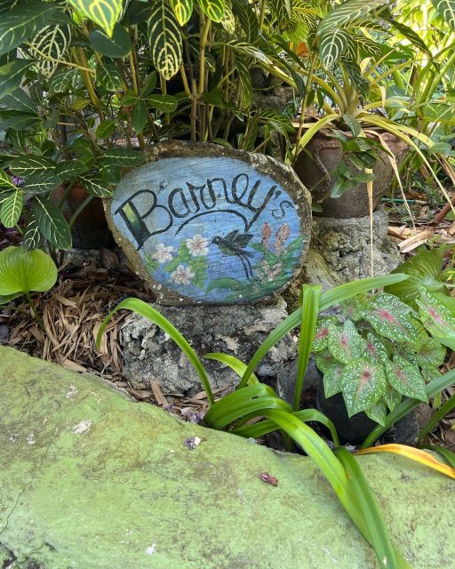Rick's Cafe and Barneys Hummingbird Garden Tour - Unique Hummingbird Experience