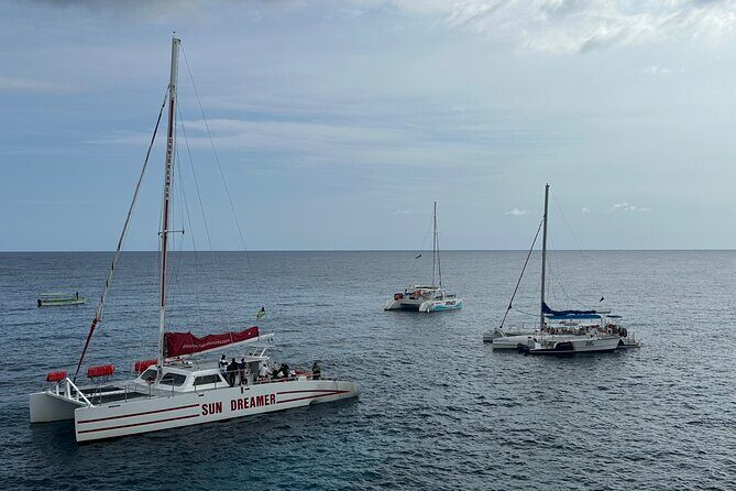 RICKS CAFE PARTY CRUISE RIU AQUARELLE with Open Bar & DJ - Who Will Enjoy This Tour?