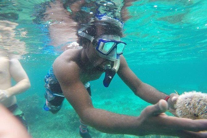 Rick's Cafe Sunset Cruise and Snorkelling - FAQs