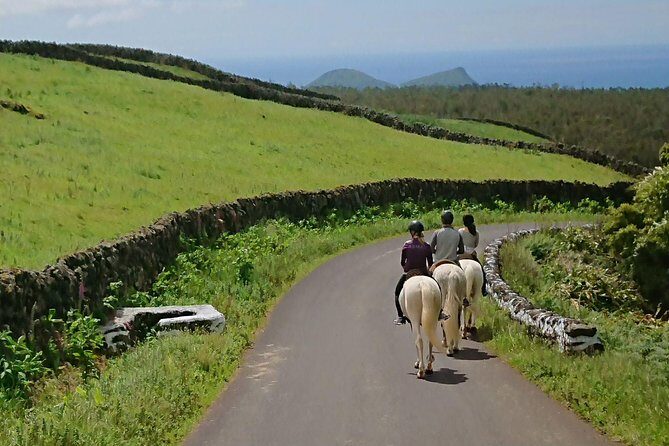 ride a volcano - go to the gardens in the woods - FAQ