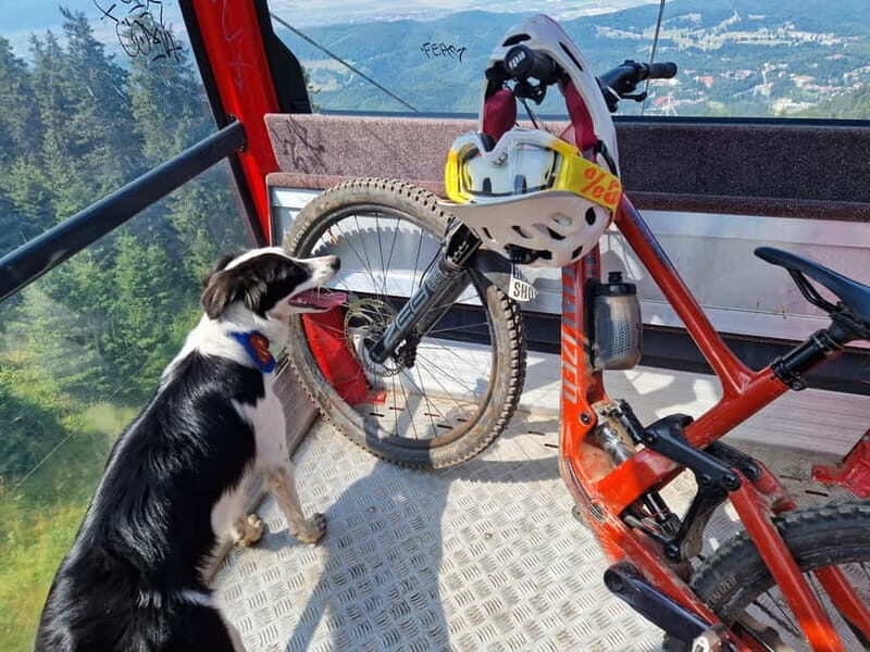 Ride Braovs Wild Trails with Daisy & Taste Local Life - A Detailed Look at the Experience