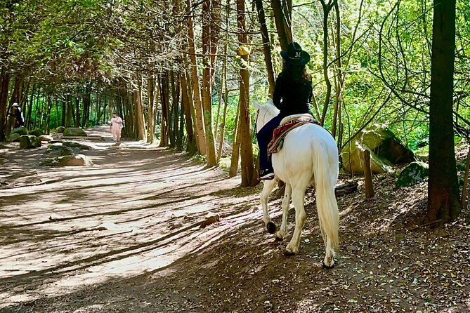 Ride Horses, Learn to Cook with Locals in Mexico City - The Details: What Is Included and What To Know