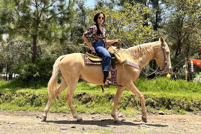 Ride Horses, Learn to Cook with Locals in Mexico City - Potential Drawbacks