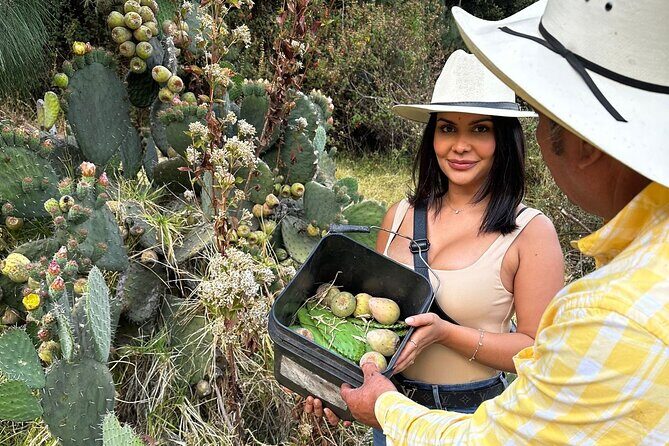 Ride Horses, Learn to Cook with Locals in Mexico City - Who Will Love This Tour?