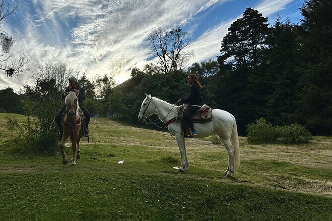 Ride Horses, Learn to Cook with Locals in Mexico City - FAQ