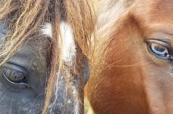 Ride Horses on the Beach - The Sum Up