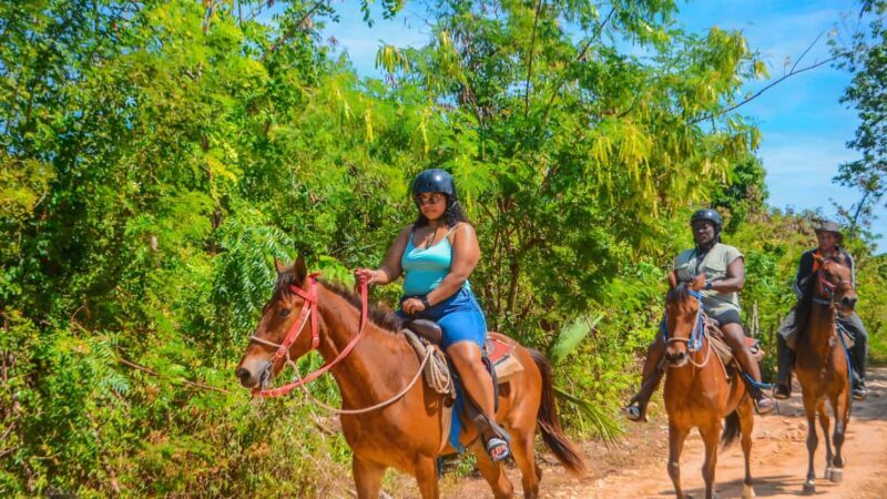 Ride into Paradise: Punta Cana Horsback Riding On the Beach. - Authenticity and Value