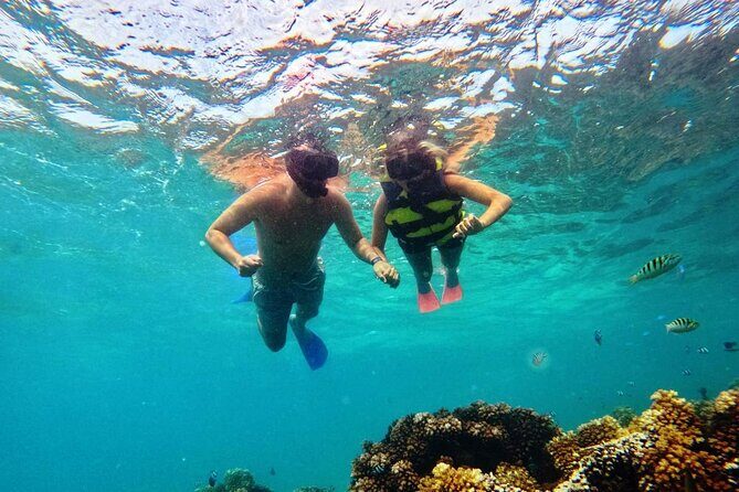 Ride & Slide by South Sea Cats - Half Day Snorkelling Trip - Who Should Choose This Tour?