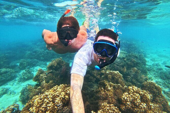 Ride & Slide by South Sea Cats - Half Day Snorkelling Trip - FAQ