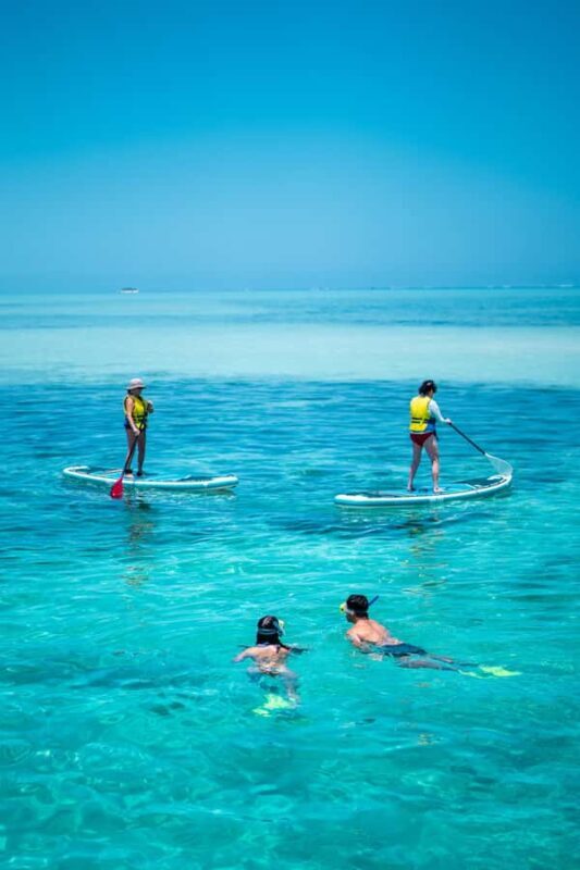 Ride & Slide by South Sea Cats - Half Day Snorkelling Trip - An Adventure That Combines Thrills and Serenity