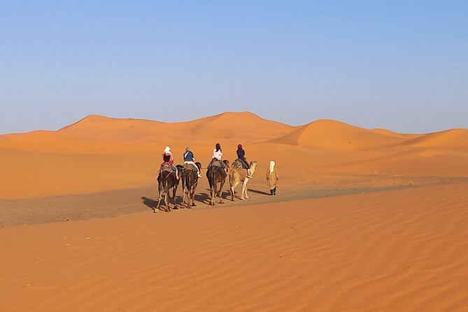 Ride the Camels for Sunset in Merzouga Dunes - Traveler Feedback and Ratings