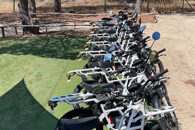 Ride the Day Away: Easy & Affordable Electric Motor Bike Rentals - Key Points  