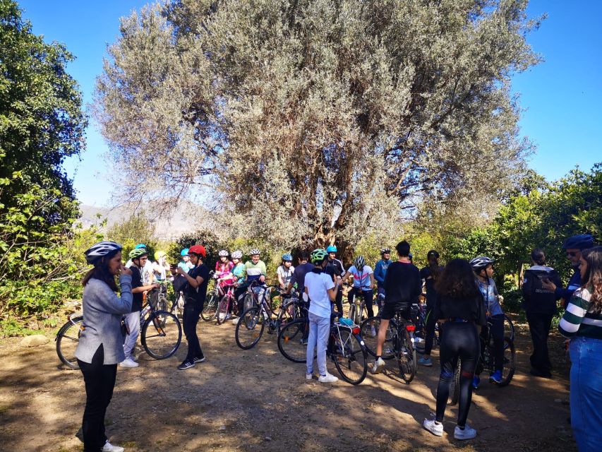 Ride the West Coast of Palermo: Favorita Park and Mondello - Itinerary Details