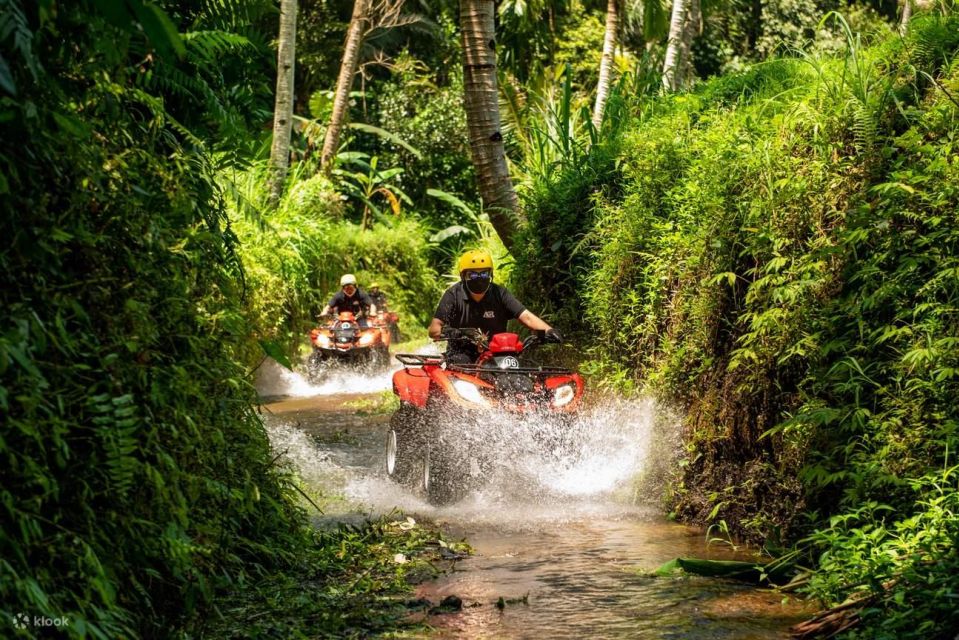 Ride the Wild: Bali ATV Expedition & Jungle Safari Adventure - Diverse Terrain and Lush Jungles
