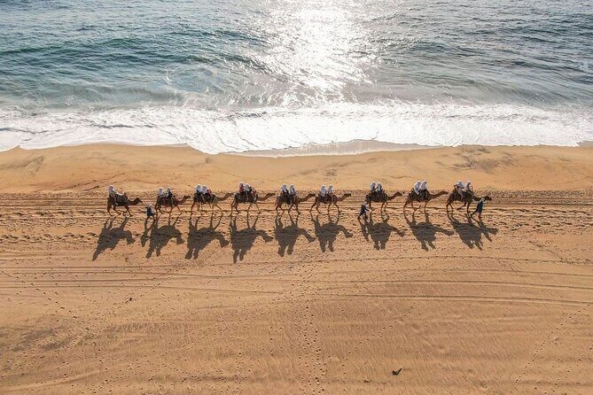 Ride the Wild Camel Safari and Off Road Rush - The Scenic Highlights and Stops