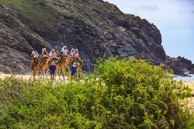 Ride the Wild Camel Safari and Off Road Rush - Pricing and Value