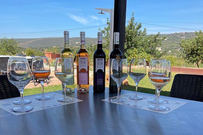 Ride & Wine: Scenic Quinta Da Tor Winery Electric Motorbike Tour - An In-Depth Look at the Ride & Wine Tour