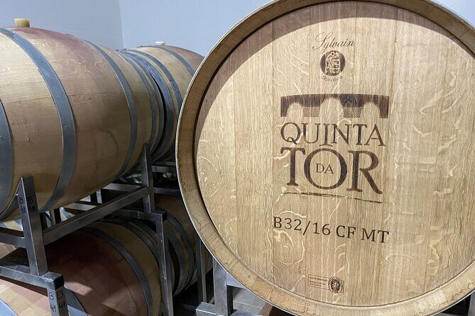 Ride & Wine: Scenic Quinta Da Tor Winery Electric Motorbike Tour - Final Thoughts: Is This Tour Right for You?