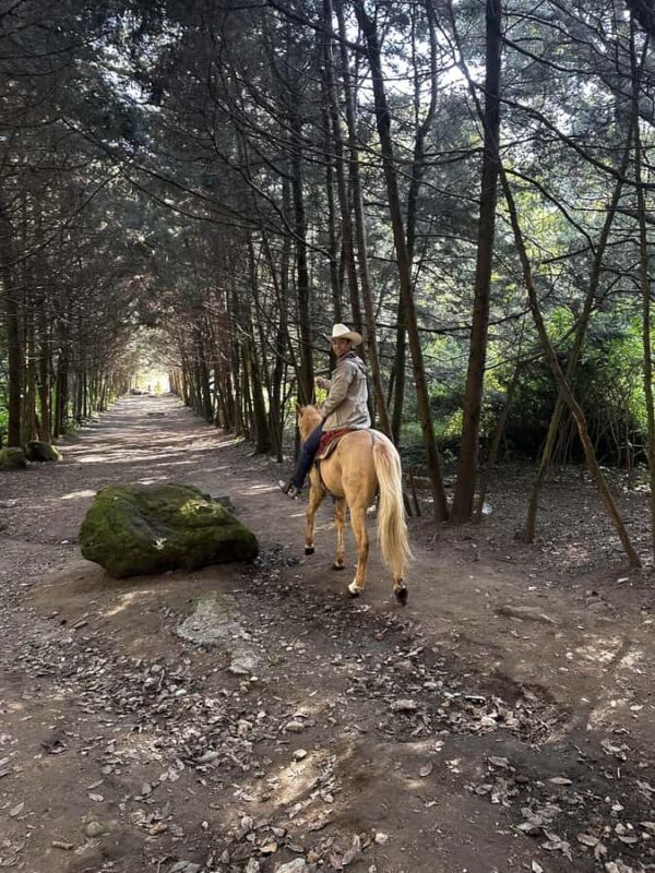 Ride with Mexican Charros: A Cowboy Adventure in Mexico City - FAQ