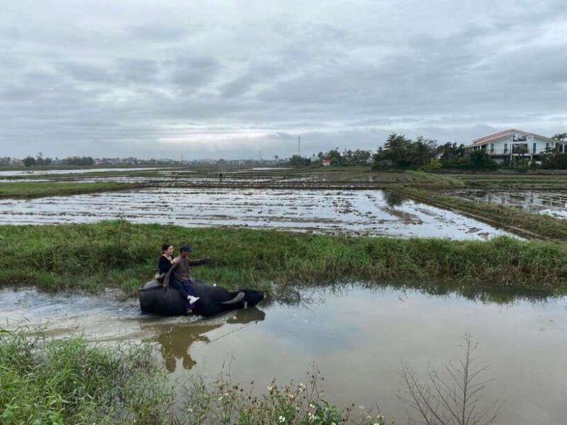 Riding Buffalo and Basket Boat Hoi An Private Bike Tour - Key Points