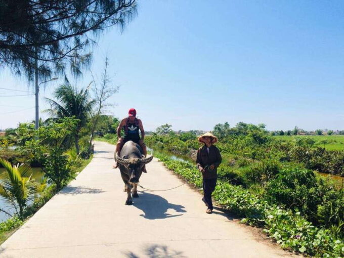 Riding Buffalo and Basket Boat Hoi An Private Bike Tour - How to Book Your Tour