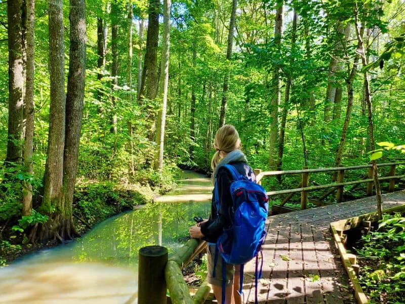 Riga: Best of Kemeri National Park In One Day - An In-Depth Look at the Kemeri National Park Day Trip