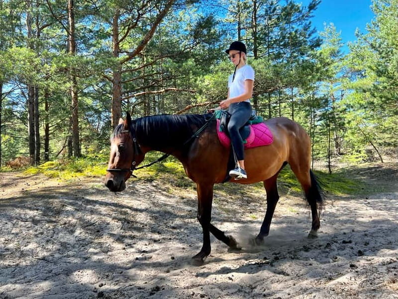 Riga Horse Riding tour along the Beach - FAQ  