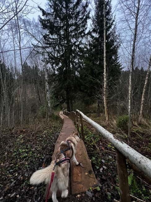 Riga: Husky Hike in the Nature Trail - Concluding Thoughts