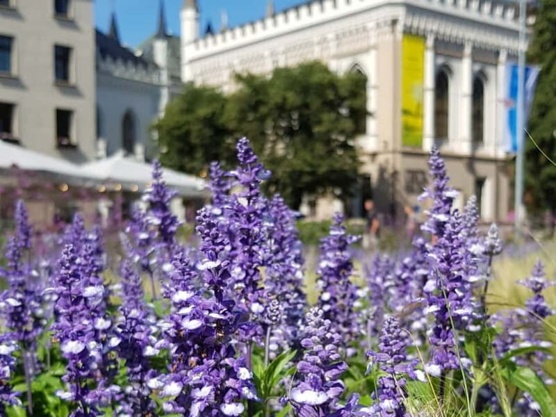 Riga: Private City Tour by car (incl. Old Town) - The Experience – What Travelers Say