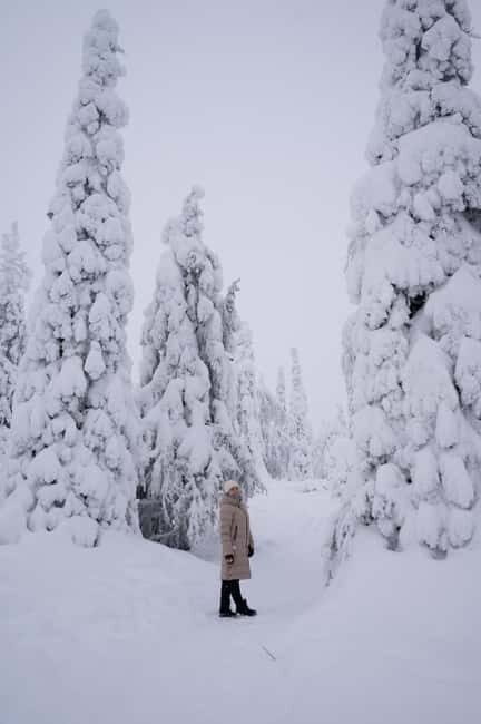 Riisitunturi National Park Private Photoshoot & Hiking - Why Choose This Tour?