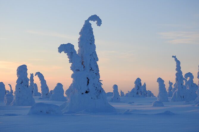 Riisitunturi National Park Snowshoe Experience - The Value of the Experience