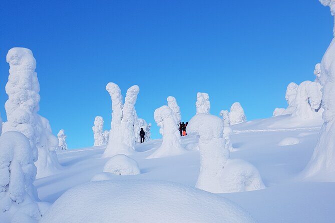 Riisitunturi National Park Snowshoe Experience - The Experience’s Authenticity and Comfort