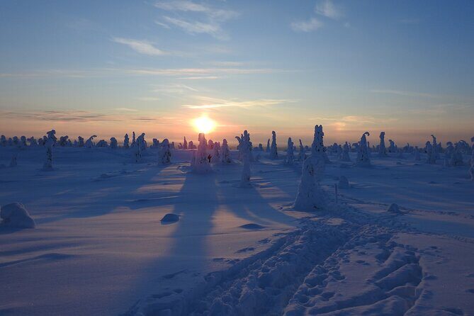 Riisitunturi National Park Snowshoe Experience - Practical Details