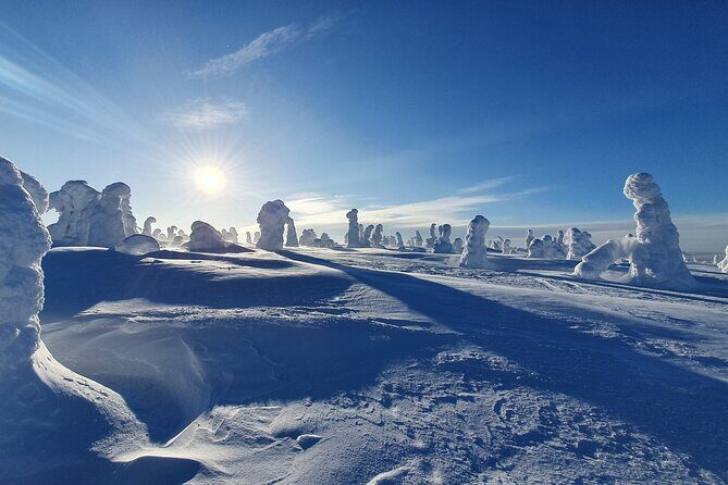 Riisitunturi National Park Snowshoe Experience - Authenticity and Eco-Friendliness