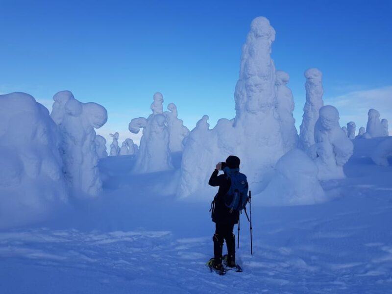Riisitunturi National Park Snowshoe Experience - Key Points