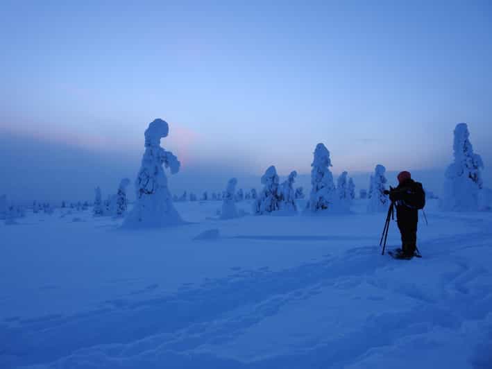 Riisitunturi National Park Snowshoe Experience - An In-Depth Look at the Riisitunturi Snowshoe Tour