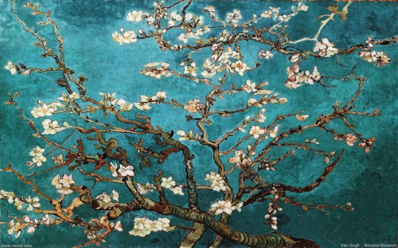 Rijksmuseum & Van Gogh Museum: Timed Entrance & Guided Tour - Practical Information