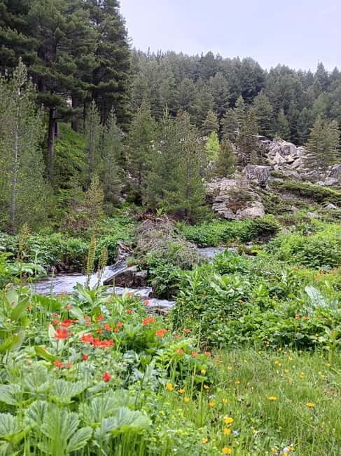 Rilska skakavitsa waterfall hiking tour - An In-Depth Look at the Rilska Skakavitsa Waterfall Tour