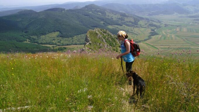 Rimetea Hike & Coltesti Fortress, From Cluj - Booking and Cancellation Policy