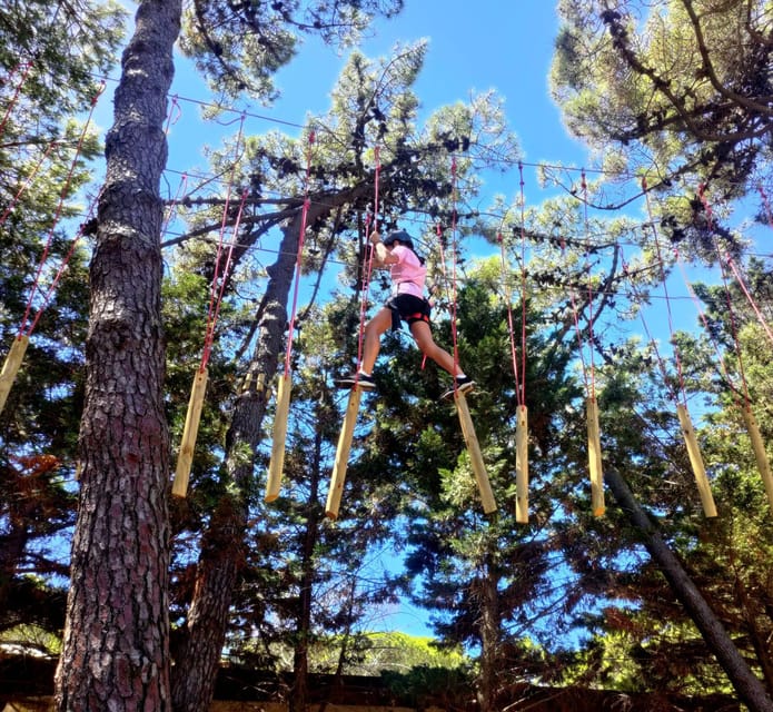 Rimini: Adventure Park Entry Ticket - Key Points