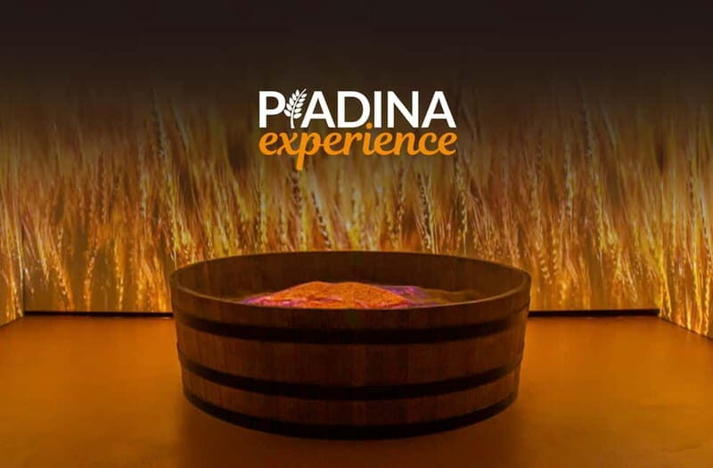Rimini: Piadina Experience Museum Entry Ticket - What to Expect from the Piadina Experience Museum