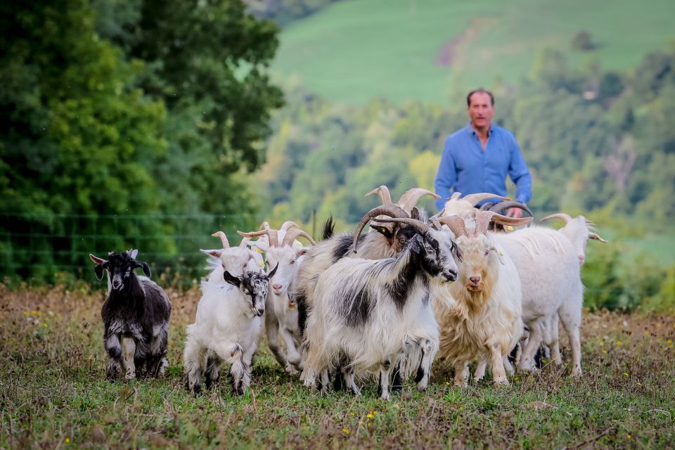 Rimini: San Leo Cashmere Farm Experience - Pricing and Duration