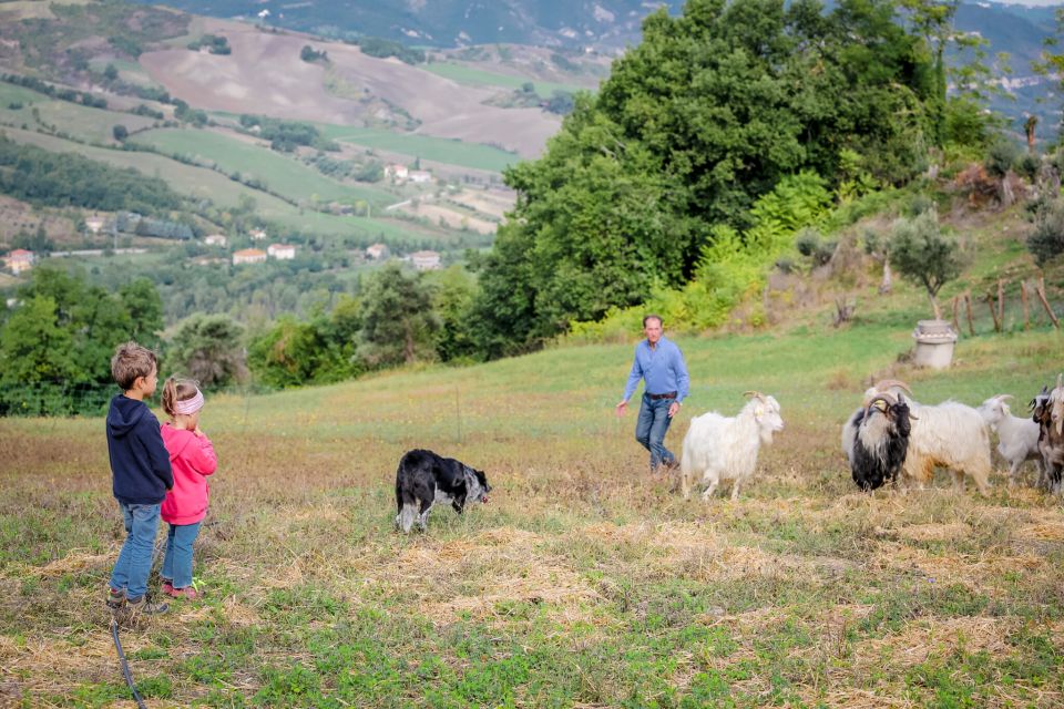 Rimini: San Leo Cashmere Farm Experience - Accessibility and Requirements