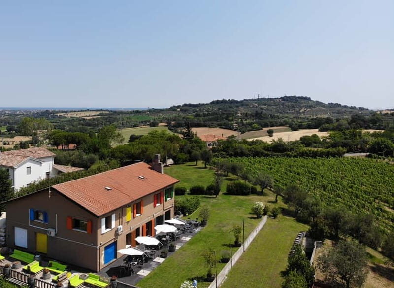 Rimini: San Valentino DOC Wine Tastings - Key Points