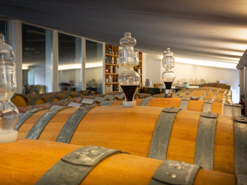 Rimini: San Valentino Vineyards Tour With DOC Wine Tastings - Key Points