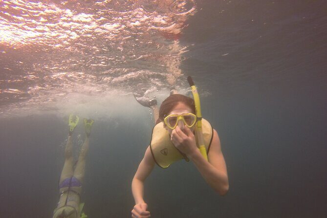 Rincon Snorkeling Adventure - Tips for a Great Experience