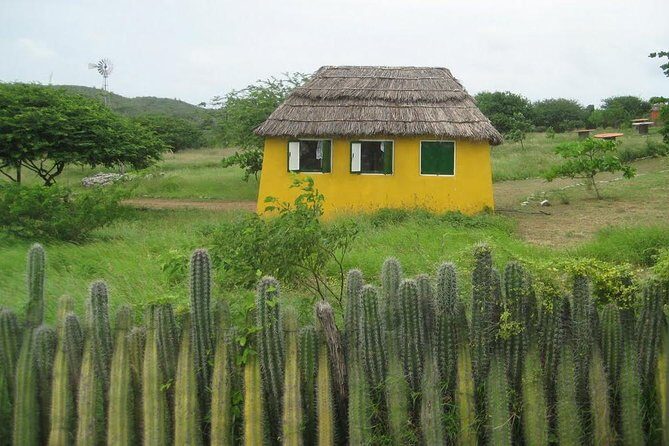 Rincon Visit with Local Guide - A Detailed Look at the Rincon Visit with Local Guide