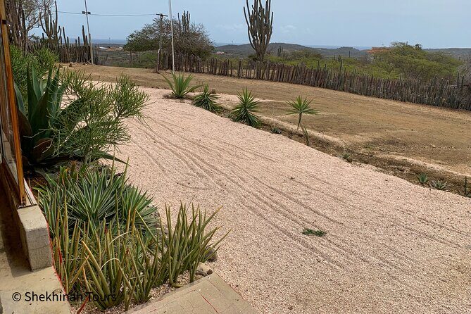 Rincon Visit with Local Guide - Frequently Asked Questions (FAQs)